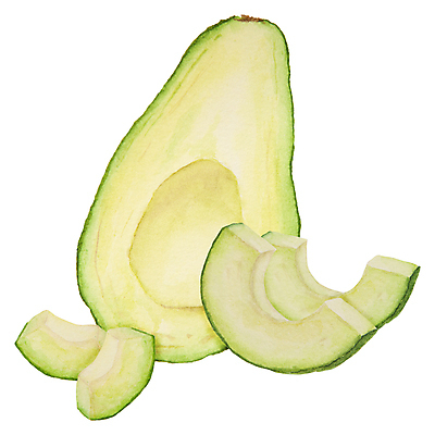 포토 JPG 해외이미지 조각 잎 단면 사람없음 손그림 아보카도 해외202310 해외포토 식물 과일 파일형식