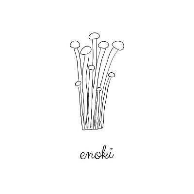 EPS 해외이미지 손 음식 백그라운드 농업 채소 일러스트 재료 텍스트 자연 건강 동양인 일본 검은색 식사 버섯 가을 흰색 낙서 만화 다발 먹기 유기농 날것 윤곽 내추럴 고립 곰팡이 식용 채식주의자 벡터 해외202310 해외일러스트 웰빙 계절 산업 아시아 컬러 모션 인종 신체부위 생태계 채식 파일형식