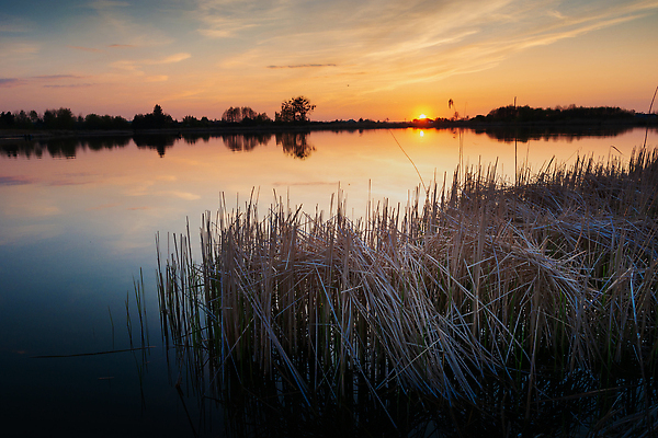 포토 JPG 해외이미지 구름 계절 호수 컬러 백그라운드 자연 지팡이 하늘 날씨 휴식 파노라마 갈대 풍경 사람없음 야외 물 파란색 빛 컬러풀 햇빛 태양 뷰티 반사 침묵 황혼 일몰 봄 새벽 전원 연못 저녁 수평선 해외202310 해외포토 자연요소 식물 컨셉 촬영기법 노을 소리 전기에너지 야간 생태계 파일형식