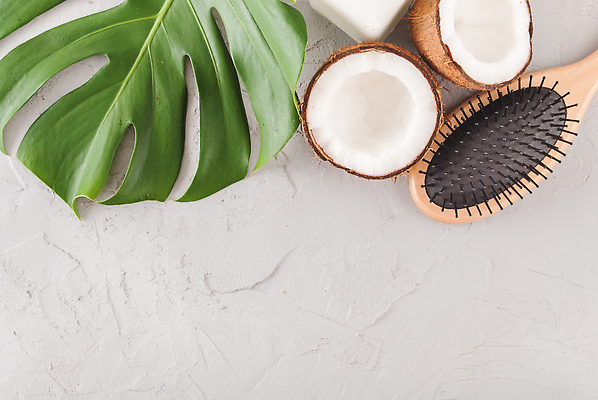 포토 JPG 해외이미지 단면 사람없음 뷰티 머리빗 코코넛 몬스테라 콘크리트 카피스페이스 해외202310 해외포토 식물 과일 공백 미용용품 파일형식