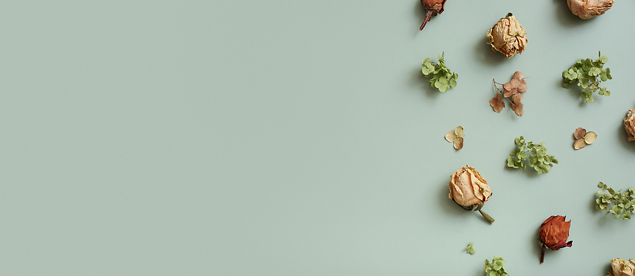 포토 JPG 해외이미지 식물 디자인 배너 계절 꽃 결혼 백그라운드 꽃무늬 패턴 오렌지 자연 프레임 건조 사람없음 장식 초록색 뷰티 갈색 정원 공백 수확 가을 원형 오브젝트 질감 레이아웃 복고 수국 내추럴 구성 파스텔톤 플랫레이 카피스페이스 해외202310 해외포토 도형 컬러 무늬 농업 과일 이벤트 플랫 생태계 파일형식