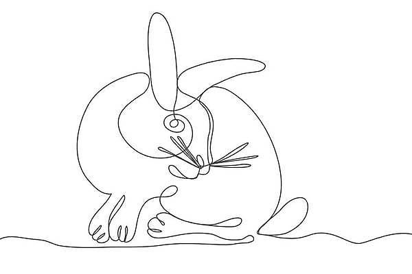 EPS 해외이미지 캐릭터 선 일러스트 사람없음 반려동물 귀여움 토끼 낙서 스케치 심볼 해외202310 해외일러스트 일러캐릭터 동물 컨셉 포유류 미술 파일형식 벡터