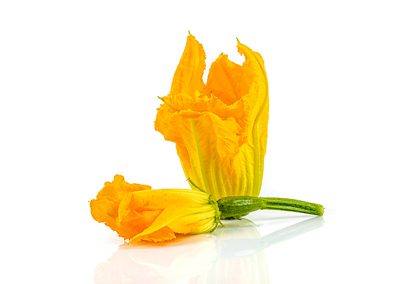 포토 JPG 해외이미지 접시 꽃 음식 백그라운드 다이어트 채소 오렌지 자연 건강 요리 사람없음 초록색 여름 노란색 저녁식사 샐러드 튀김 성장 벚꽃 흰색 신선 개화 그룹 지중해 유기농 날것 스쿼시 내추럴 폭식 고립 식용 주키니 주키니호박 채식주의자 비건 해외202310 해외포토 식물 식기 웰빙 계절 스포츠 바다 컬러 과일 구기 식사 생태계 채식 파일형식