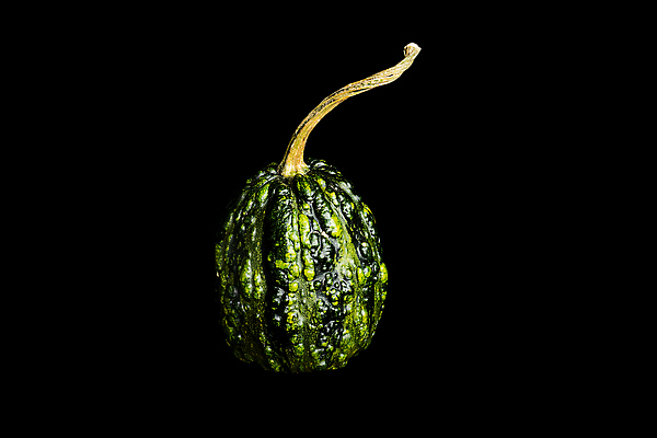 포토 JPG 해외이미지 식물 1 전통 디자인 계절 행복 음식 백그라운드 농업 채소 오렌지 재료 자연 탁자 호박 휴가 건강 사람없음 목재 장식 농작물 노란색 파티 검은색 축제 할로윈 수확 시골 신선 자르기 오브젝트 유기농 날것 추수감사절 스쿼시 10월 내추럴 고립 채식주의자 해외202310 해외포토 나무 웰빙 감정 산업 기독교 스포츠 컬러 가구 과일 모션 이벤트 구기 날짜 생태계 채식 파일형식