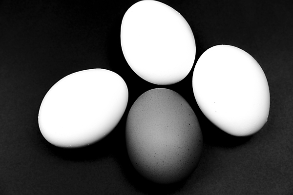 포토 JPG 해외이미지 검은배경 사람없음 흰색 삶은계란 해외202310 해외포토 컬러 백그라운드 계란 검은색 계란요리 파일형식