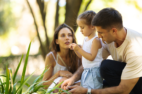 포토 JPG 해외이미지 백인 라이프스타일 공원 여자 딸 행복 어린이 가족 자연 엄마 함께함 건강 사랑 사람 성인 야외 세명 여름 빛 태양 뷰티 맑음 새벽 기쁨 가을 흰색 아빠 주말 해외202310 해외포토 자연요소 서양인 계절 공공시설 감정 컬러 컨셉 관계 날씨 생활 생태계 파일형식