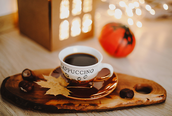 포토 JPG 해외이미지 라이프스타일 디자인 커피 음료 음식 백그라운드 컨셉 겨울 패턴 탁자 아침 휴가 주택 따뜻함 사랑 사람없음 내부 목재 장식 컵 빛 갈색 우주 침묵 카페 침실 방 가을 흰색 뜨거움 플랫 달콤 아침식사 잡지 정상 스웨터 니트 아로마 위치 양모 스타일 힙스터 해외202310 해외포토 주간 나무 식기 계절 패션 감정 컬러 가구 상의 무늬 재료 건물 생활 간행물 상점 식사 소리 직물 맛 파일형식