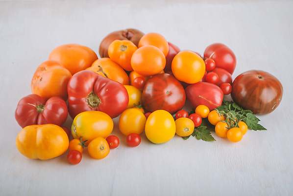 포토 JPG 해외이미지 라이프스타일 음식 컬러 백그라운드 잎 다이어트 토마토 채소 오렌지 과일 재료 양파 실내 건강 사람없음 빨간색 초록색 태양 노란색 쌓기 주방 샐러드 흰색 신선 그룹 변화 중앙 큼 수집 먹기 허브 오브젝트 상쾌 유기농 원예 날것 슛 국산 고립 멀티 숙성 채식주의자 해외202310 해외포토 자연요소 식물 웰빙 감정 컨셉 모션 취미 내부 생활 크기 채식 파일형식