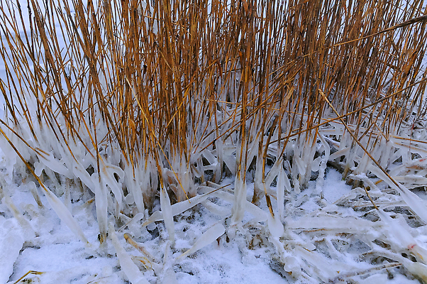 포토 JPG 해외이미지 바다 겨울 자연 날씨 항해 풍경 사람없음 물 빛 냉동 추위 흰색 투명 시원함 크리스탈 빙하 서리 날카로움 빙산 온도 고드름 기후변화 수평선 해외202310 해외포토 자연요소 계절 컬러 배_교통 얼음 변화 광석 생태계 파일형식