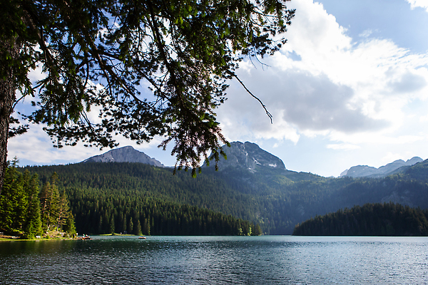 포토 JPG 해외이미지 나무 공원 유럽 호수 여행 백그라운드 캐나다 자연 하늘 휴가 산 주택 파노라마 사람없음 야외 초록색 물 파란색 강 뷰티 반사 환경 검은색 오스트리아 호주 숲 스위스 언덕 알프스 상록수 크로아티아 내추럴 몬테네그로 발칸반도 전국 절정 해외202310 해외포토 자연요소 식물 공공시설 나라 컬러 북아메리카 촬영기법 건물 오세아니아 생태계 파일형식