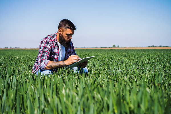 포토 JPG 해외이미지 식물 백인 직업 응시 산업 밭 농업 자연 하늘 성공 수염 한명 성인 야외 농작물 컴퓨터 태블릿 농장 농경지 농사 맑음 농촌 작업 체험 농부 땅 밀 보리 감시 진행 파종 해외202310 해외포토 서양인 1 시선 컨셉 날씨 곡류 사람 전자제품 스마트기기 시골 생태계 파일형식