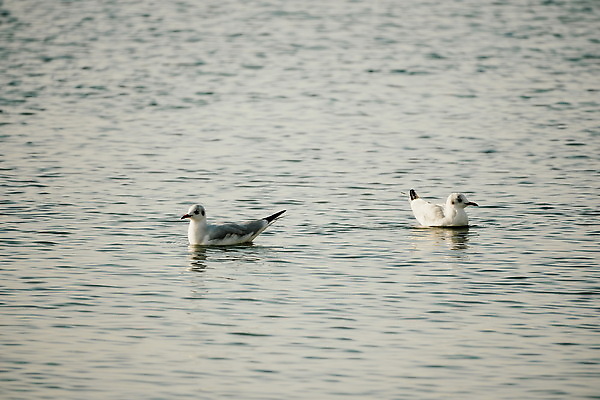 포토 JPG 해외이미지 사람없음 해외202310 해외포토 파일형식
