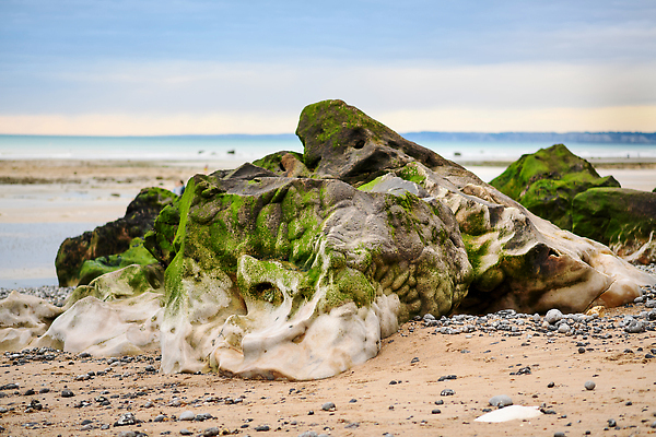 포토 JPG 해외이미지 식물 모래 파도 바다 잎 자연 조류 하늘 표면 휴가 바닥 이끼 풍경 사람없음 초록색 물 여름 파란색 반사 환경 수중 절벽 젖음 프랑스 바위 신선 해조류 분필 태평양 대서양 내추럴 그런지 노르망디 해외202310 해외포토 자연요소 동물 계절 유럽 컬러 돌_바위 해양식물 초크 생태계 파일형식