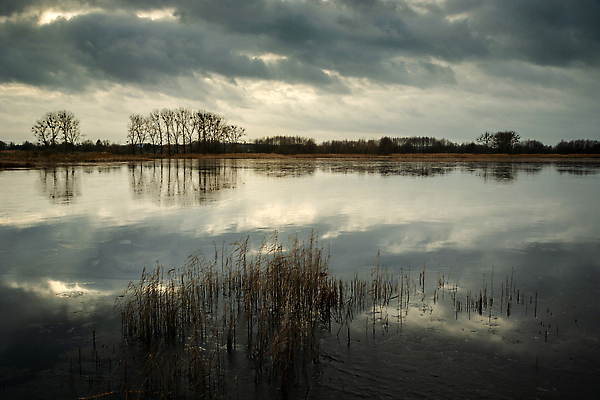 포토 JPG 해외이미지 나무 구름 공원 호수 컬러 백그라운드 겨울 자연 하늘 표면 날씨 갈대 풍경 사람없음 야외 물 빛 강 뷰티 반사 평화 환경 어둠 침묵 황혼 새벽 거울 회색 가을 저녁 장면 내추럴 수평선 해외202310 해외포토 자연요소 식물 계절 공공시설 컨셉 소리 일몰 야간 생태계 파일형식