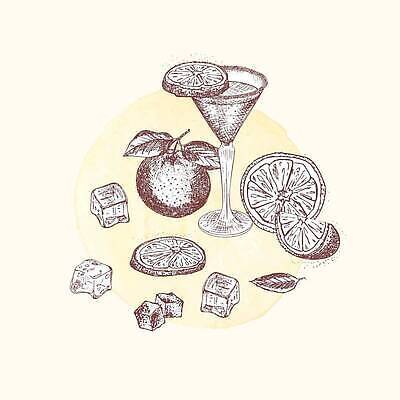 EPS 해외이미지 오렌지 일러스트 사람없음 세트 얼음 빈티지 칵테일 스케치 허브 메뉴 칵테일잔 손그림 해외202310 해외일러스트 자연요소 식물 컨셉 술잔 과일 주류 미술 파일형식 벡터