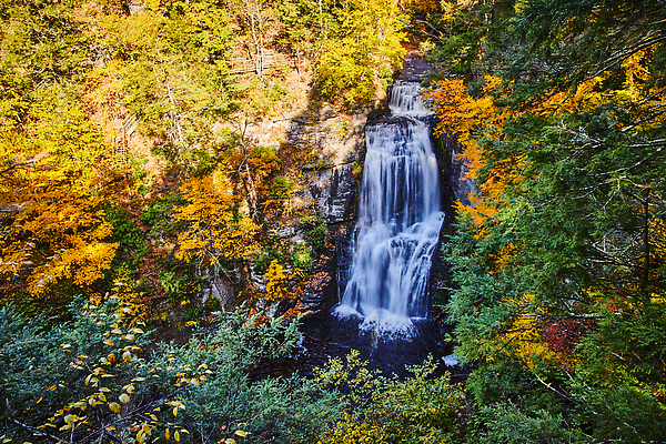 포토 JPG 해외이미지 나무 식물 계절 공원 컬러 여행 잎 오렌지 풍경 사람없음 야외 빨간색 초록색 물 강 컬러풀 노란색 환경 폭포 가을 바위 나뭇가지 개울 숲 관목 내추럴 해외202310 해외포토 자연요소 공공시설 과일 자연 돌_바위 파일형식