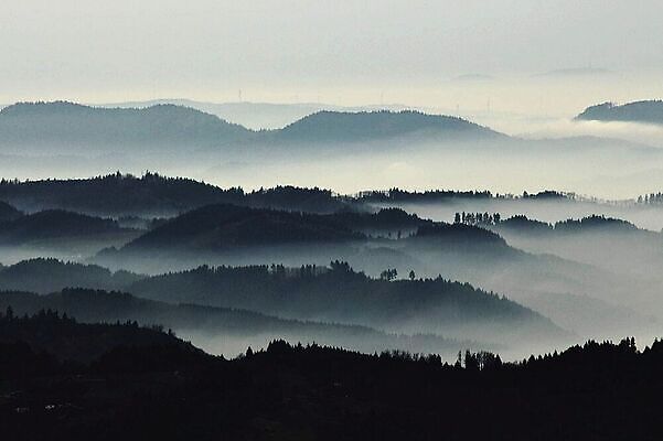 포토 JPG 해외이미지 나무 도로 선 컬러 여행 밭 농업 교통시설 모션 자동차 자연 하늘 사람없음 야외 초록색 파란색 햇빛 태양 환경 맑음 일몰 운전 자유 시골 고속도로 땅 속도 장면 넘어짐 루트 방법 수평선 비어있는 해외202310 해외포토 자연요소 식물 산업 길 육상교통 교통 컨셉 날씨 노을 시설 생태계 파일형식