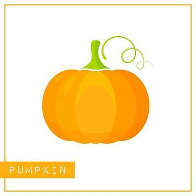 EPS 해외이미지 식물 교육 어린이 음식 농업 다이어트 채소 오렌지 일러스트 학교 자연 놀이 호박 건강 그래픽 학습 농장 정원 유치원 수확 게임 흰색 신선 신용카드 시장 플랫 맛 수집 그림 에코 유기농 윤곽 박 스쿼시 고립 밭일 숙성 채식주의자 벡터 비건 해외202310 해외일러스트 웰빙 산업 스포츠 컬러 컨셉 과일 사람 금융 구기 환경 생태계 채식 파일형식