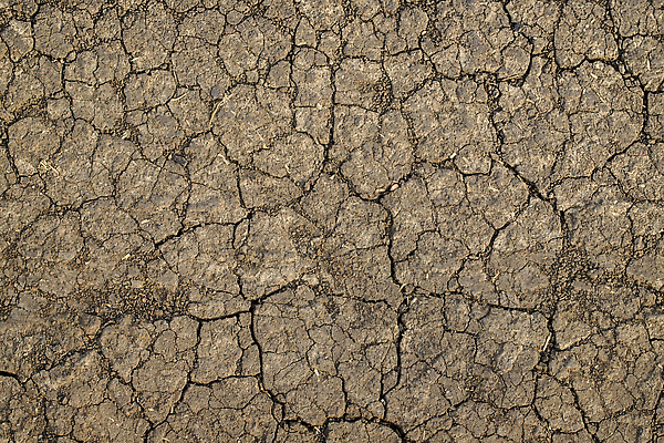 포토 JPG 해외이미지 지구 모래 백그라운드 패턴 자연 벽지 표면 날씨 추상 건조 사람없음 야외 가로 여름 글로벌 갈색 환경 검은색 흙 사막 시골 뜨거움 거친 황무지 균열 땅 질감 날것 먼지 모자이크 점토 지역 진흙 가뭄 다리찢기 내추럴 깨짐 땅바닥 생태학 재앙 지질학 해외202310 해외포토 계절 교육 컬러 컨셉 무늬 모션 바닥 생태계 파일형식