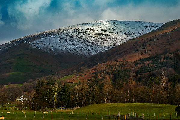 포토 JPG 해외이미지 나무 백그라운드 하늘 산 사람없음 파란색 뷰티 환경 해외202310 해외포토 식물 컬러 파일형식