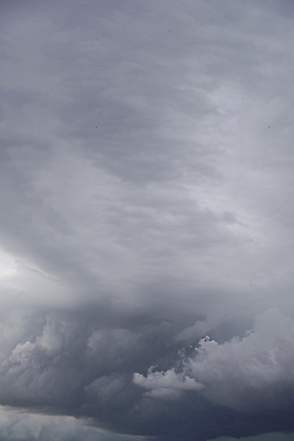 포토 JPG 해외이미지 계절 컬러 백그라운드 자연 하늘 미래 사람없음 야외 세로 파란색 빛 컬러풀 햇빛 태양 뷰티 우주 환경 맑음 자유 흰색 오픈 분위기 장면 천국 내추럴 가능 카피스페이스 해외202310 해외포토 자연요소 컨셉 날씨 공백 생태계 파일형식