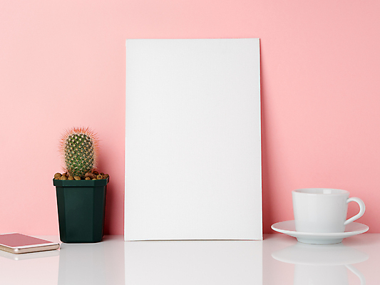 포토 JPG 해외이미지 무료이미지 화분 분홍색 선인장 사람없음 스마트폰 커피잔 목업 카피스페이스 해외202310 해외포토 식물 커피 컬러 잔 핸드폰 스마트기기 공백 파일형식 무료콘텐츠