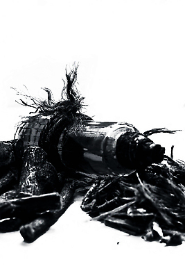 포토 JPG 해외이미지 줄 음식 다이어트 건강 사람없음 약 흰색 약초 수집 허브 유기농 생물학 뿌리 향 내추럴 디톡스 해외202310 해외포토 식물 웰빙 교육 컬러 의학 풀_식물 파일형식