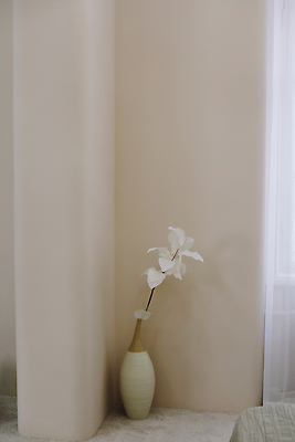 포토 JPG 해외이미지 식물 꽃 벽 백그라운드 컨셉 꽃무늬 침구 벽지 호텔 아침 휴식 아파트 주택 실내 미술 사람없음 내부 장식 빛 인테리어 햇빛 우주 꽃병 봄 침실 방 수확 벚꽃 흰색 침대 도자기 고급 우아함 담요 질감 심플 부드러움 리빙 파스텔톤 스타일 카피스페이스 미니멀 안락 해외202310 해외포토 주간 디자인 계절 컬러 가구 무늬 농업 숙소 문화예술 건물 태양 공백 감각 파일형식