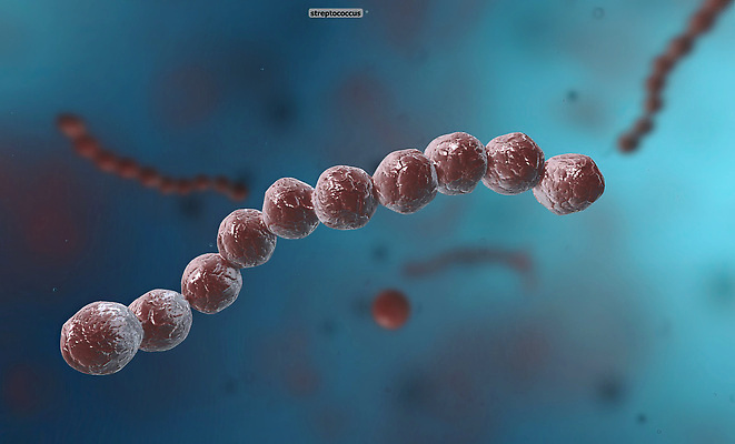 포토 JPG 해외이미지 세포 나선형 사람없음 약 열 원형 막대기 질병 생물학 감염 미생물 박테리아 기생충 여의주 염증 코스모폴리탄 해외202310 해외포토 도형 교육 무늬 의학 생물 칵테일 바이러스 파일형식