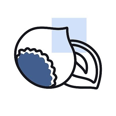 EPS 해외이미지 디자인 음식 다이어트 과일 일러스트 재료 건강 씨앗 픽토그램 웹 견과류 껍질 심볼 사인 유기농 알맹이 윤곽 내추럴 개암나무 고립 채식주의자 벡터 개암 해외202310 해외일러스트 나무 식물 웰빙 열매 인터넷 채식 파일형식