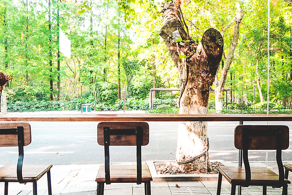 포토 JPG 해외이미지 나무 식물 계절 커피 벽 가구 백그라운드 잎 창문 가정 자연 유리 탁자 아침 주택 실내 풍경 사람없음 야외 내부 목재 초록색 여름 환경 식당 정원 봄 카페 흰색 신선 정상 소프트포커스 계산대 책상 질감 내추럴 블러 그리너리 비어있는 해외202310 해외포토 주간 음료 컬러 생활용품 재료 재질 촬영기법 건물 상점 생태계 파일형식 트랜드컬러