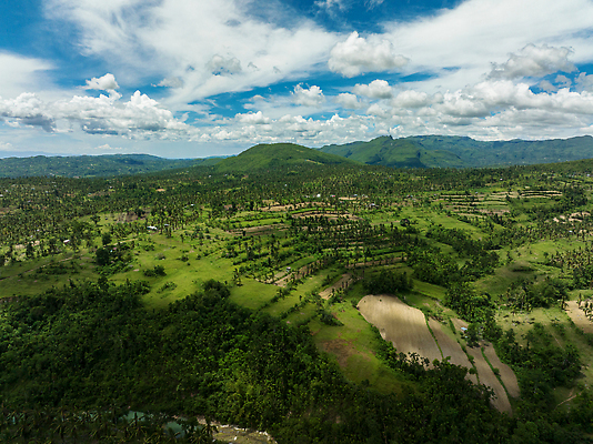 포토 JPG 해외이미지 나무 식물 아시아 여행 농업 자연 산 주택 파노라마 풍경 사람없음 초록색 농장 농경지 마을 계곡 수확 시골 숲 열대우림 언덕 타운 항공촬영 논밭 밭일 삼림지대 심기 절정 조감도 사탕수수 해외202310 해외포토 나라 산업 뷰포인트 컬러 밭 모션 논 촬영기법 건물 도시 생태계 파일형식