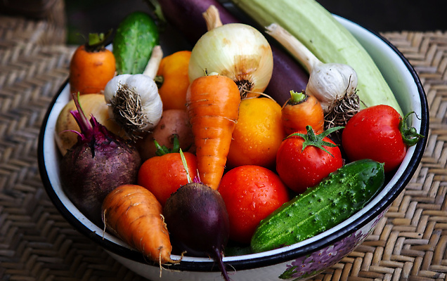 포토 JPG 해외이미지 식물 음식 백그라운드 컨셉 밭 농업 토마토 채소 자연 양파 오이 감자 건강 요리 사람없음 야외 초록색 농작물 농장 정원 당근 샐러드 수확 성장 신선 사발 떨어짐 농부 상추 먹기 유기농 원예 날것 내추럴 밭일 숙성 주키니 채식주의자 해외202310 해외포토 직업 웰빙 산업 컬러 모션 뿌리채소 취미 사기그릇 생태계 채식 파일형식