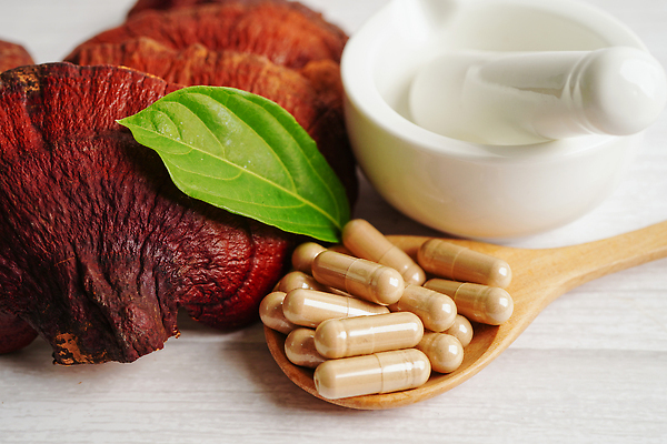 포토 JPG 해외이미지 잎 건강 사람없음 알약 약초 절구 나무숟가락 영지버섯 절구방아 해외202310 해외포토 식물 약 숟가락 버섯 도구 풀_식물 파일형식