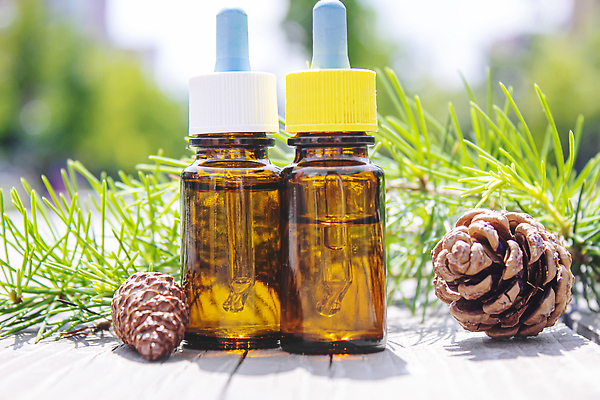 포토 JPG 해외이미지 근접촬영 사람없음 아웃포커스 오일 솔방울 아로마테라피 내추럴 에센스 오일병 해외202310 해외포토 음식 뷰포인트 촬영기법 화장품 테라피 파일형식