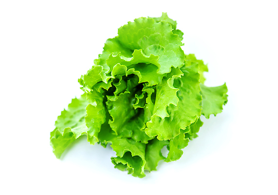 포토 JPG 해외이미지 식물 음식 백그라운드 잎 농업 다이어트 채소 재료 가족 자연 추상 실내 건강 사람없음 초록색 물 정원 침묵 봄 샐러드 흰색 신선 상추 자르기 다발 먹기 오브젝트 유기농 질감 양배추 날것 슛 섬유 내추럴 고립 식용 채식주의자 로메인상추 해외202310 해외포토 자연요소 웰빙 계절 산업 컬러 무늬 관계 모션 내부 소리 직물 생태계 채식 파일형식