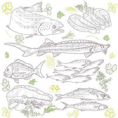 EPS 해외이미지 모양 조각 곡선 일러스트 학교 프레임 어류 스테이크 앉기 물 세트 식당 바닷속 수중 수영 흐름 수확 그룹 시장 인쇄 수집 참치 메뉴 흰배경 연어 잉어 청어 많음 벡터 국경 효과 해외202310 해외일러스트 자연요소 교육 선 백그라운드 컨셉 농업 모션 서양음식 상점 수중동물 흰색 수상스포츠 파일형식