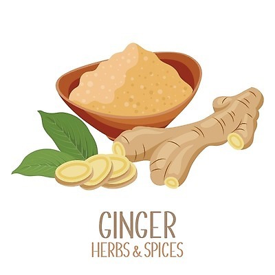 EPS 해외이미지 무료이미지 잎 일러스트 사람없음 가루 향신료 생강 나무그릇 해외202310 해외일러스트 식물 그릇 채소 목재 향미료 파일형식 벡터