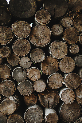 포토 JPG 해외이미지 나무 조각 백그라운드 패턴 벽지 추상 건조 사람없음 목재 장식 갈색 쌓기 마을 에너지 시골 반지 소나무 원형 균열 숲 장작 자르기 천 묘사 질감 날것 통나무 치수 나무껍질 수납 자원 잡동사니 흙더미 유지 내추럴 수목 엘리먼트 많음 해외202310 해외포토 도형 식물 컬러 컨셉 무늬 재료 장신구 모션 흙 껍질 직물 파일형식 더미