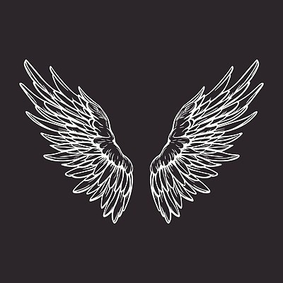 EPS 해외이미지 모양 디자인 실루엣 선 컨셉 날개 일러스트 비즈니스 조류 성공 추상 천사 발렌타인데이 미술 그래픽 세트 라벨 자유 수확 흰색 플랫 클래식 고급 수집 심볼 깃털 사인 복고 윤곽 독수리 배지 휘장 고립 봉황 엘리먼트 활자 스타일 벡터 해외202310 해외일러스트 동물 컬러 무늬 농업 데이이벤트 문화예술 프레임 촬영기법 활자판 파일형식 기념일 산업 인쇄판 이벤트 인쇄