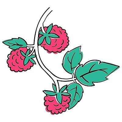 EPS 해외이미지 열매 선 음식 일러스트 장식 빨간색 초록색 검은색 수확 나뭇가지 화려 달콤 맛 낙서 흰배경 윤곽 산딸기 색칠공부 엘리먼트 타격 스타일 쓰다듬기 현실 맛있는 해외202310 해외일러스트 나무 식물 컬러 백그라운드 컨셉 농업 과일 모션 학습 흰색 색칠 파일형식 벡터