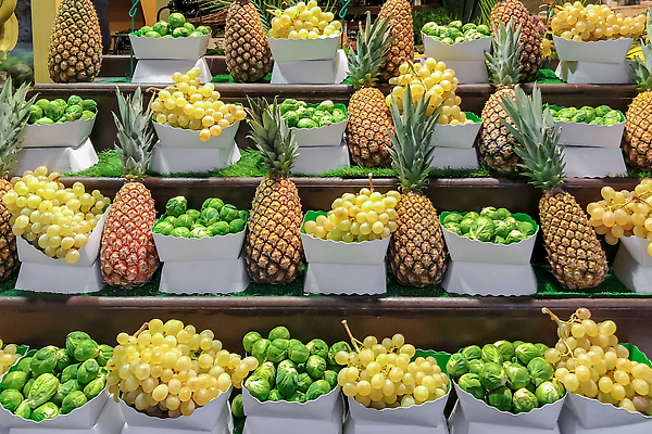 포토 JPG 해외이미지 잡화 산업 음식 농업 다이어트 채소 과일 비즈니스 부분 포도 건강 서기 사람없음 초록색 농장 노란색 세일 쌓기 바구니 새싹 상점 정원 프랑스 수확 신선 그룹 시장 가격 파인애플 유기농 양배추 날것 소매 슈퍼마켓 내추럴 매각 바이오 브뤼셀 숙성 줄서기 채식주의자 해외202310 해외포토 식물 웰빙 유럽 컬러 모션 열대과일 채식 파일형식