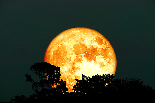 포토 JPG 해외이미지 나무 식물 구름 꽃 실루엣 컬러 백그라운드 밭 자연 조류 하늘 딸기 산 건조 어류 사람없음 빨간색 빛 장미 우주 달러 계란 어둠 할로윈 수확 껍질 달 나뭇가지 등불 혈액 볏짚 야간 저녁 기아 가득함 까마귀 비버 해외202310 해외포토 자연요소 동물 돈 농업 과일 조명 촬영기법 알 수중동물 짚 사회이슈 생태계 파일형식