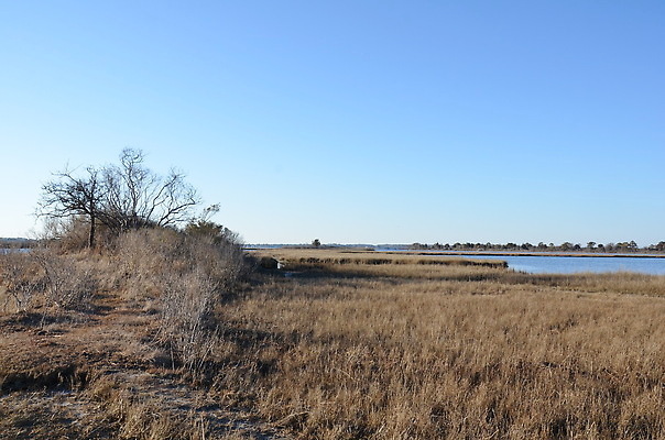 포토 JPG 해외이미지 식물 호수 바다 자연 하늘 잔디 사람없음 야외 물 강 갈색 연못 습지 해외202310 해외포토 자연요소 컬러 생태계 파일형식