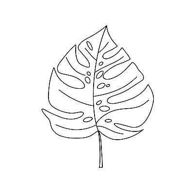 EPS 해외이미지 식물 디자인 꽃 실루엣 선 백그라운드 잎 꽃무늬 패턴 일러스트 자연 추상 잉크 흑백 미술 그래픽 장식 여름 세트 뷰티 정원 검은색 봄 낭만 수확 벚꽃 흰색 우아함 스케치 수집 그림 심플 윤곽 양귀비 고립 작약 반복 해외202310 해외일러스트 계절 컬러 컨셉 무늬 농업 문화예술 촬영기법 생태계 파일형식 벡터