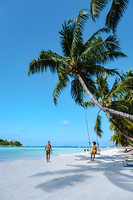 포토 JPG 해외이미지 나무 커플 여자 남자 행복 모래 바다 섬 여행 백그라운드 잎 자연 휴가 휴식 손바닥 두명 물 파란색 태양 맑음 활발 흰색 서핑 고급 인도인 그네 휴양지 코코넛 해먹 세이셸 이국적 파라다이스 해외202310 해외포토 자연요소 외국인 식물 손 감정 컬러 컨셉 과일 관계 아프리카 날씨 사람 동양인 장소 침대 수상스포츠 생태계 파일형식