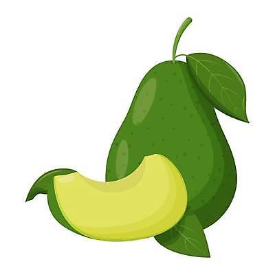 EPS 해외이미지 무료이미지 일러스트 사람없음 초록색 아보카도 해외202310 해외일러스트 컬러 과일 파일형식 벡터 무료콘텐츠