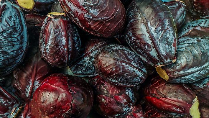 포토 JPG 해외이미지 음식 백그라운드 채소 사람없음 빨간색 신선 준비 유기농 질감 양배추 해외202310 해외포토 웰빙 컬러 파일형식