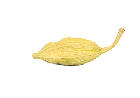 포토 JPG 해외이미지 식물 음식 백그라운드 재료 자연 건조 건강 요리 씨앗 동양인 사람없음 장식 초록색 갈색 쌓기 주방 흰색 양념 조미료 그룹 닫기 맛 낟알 인도인 허브 향신료 싱글 유기농 매움 향기 아로마 향료 향 내추럴 고립 꼬투리 돌봄 마살라 해외202310 해외포토 외국인 웰빙 컬러 컨셉 모션 인종 생태계 냄새 향미료 파일형식