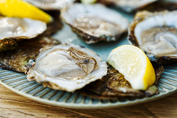 포토 JPG 해외이미지 접시 음식 바다 백그라운드 휴가 조개 연체동물 건강 요리 사람없음 파티 식당 얼음 식사 저녁식사 껍질 굴 신선 양념 맛 먹기 레몬 해산물 메뉴 날것 점심식사 식품점 맛있는 해외202310 해외포토 자연요소 식기 컨셉 과일 모션 어패류 무척추동물 이벤트 상점 파일형식